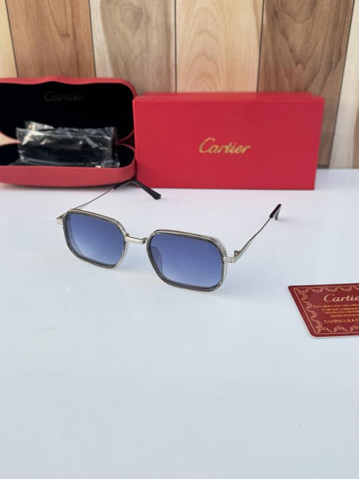Car_tier 2841 Silver Blue
