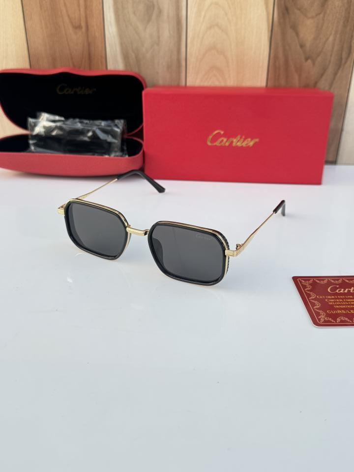 Car_tier 2841 Gold Black