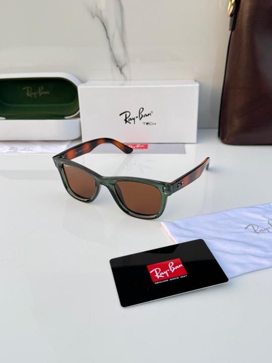 Ray_ban 0502 Olive Tiger Brown