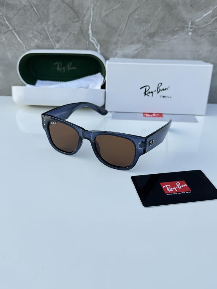 Ray_ban 0840 Blue Brown