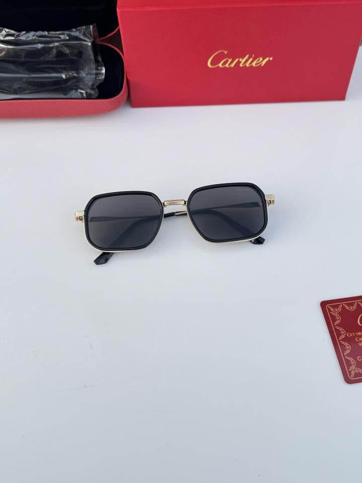 Car_tier 2841 Gold Black