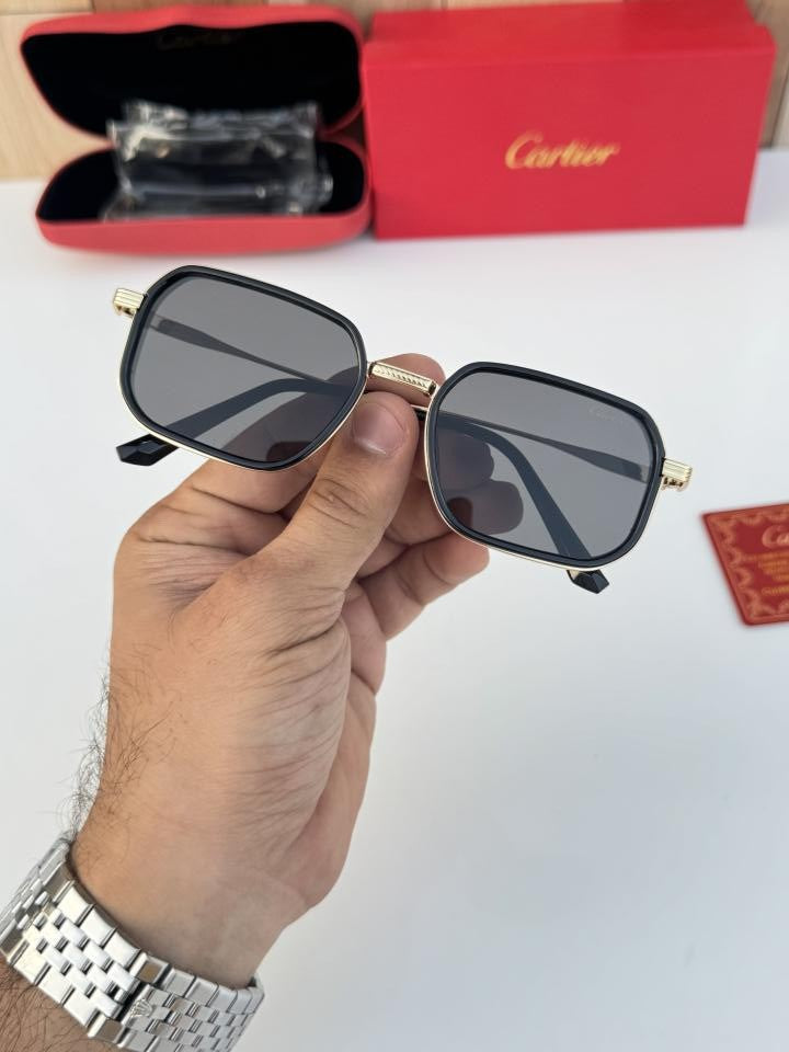 Car_tier 2841 Gold Black