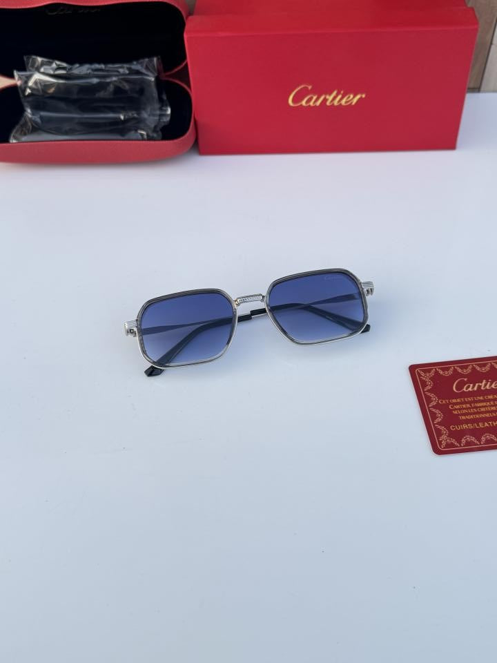 Car_tier 2841 Silver Blue