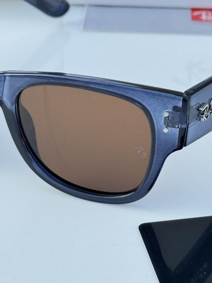 Ray_ban 0840 Blue Brown